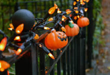 Halloween Not for You