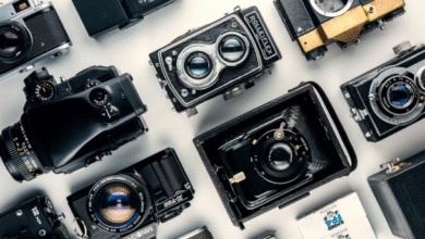 Yandex reverse image search