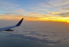 Indigo Flight Status