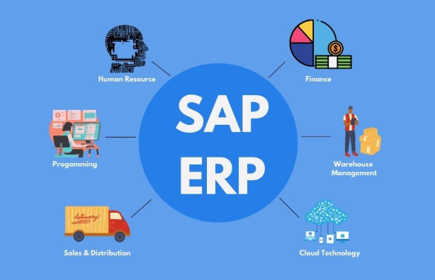 SAP software